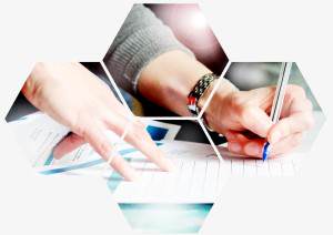 Organisations WOLFF GROUP