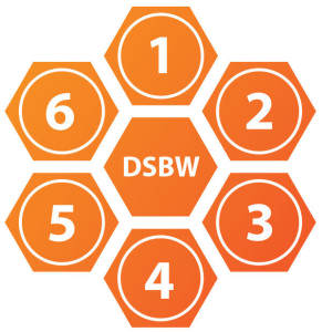 DESS includes 6 basic activities