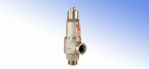 Spring-Weighted Safety Valves