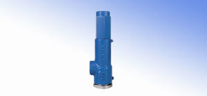 Spring-Weighted Safety Valves