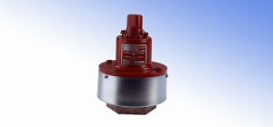 Spring-Weighted Safety Valves