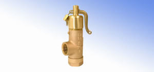 Spring-Weighted Safety Valves