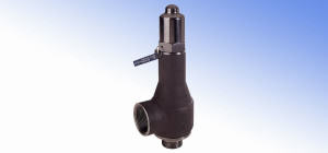 Spring-Weighted Safety Valves