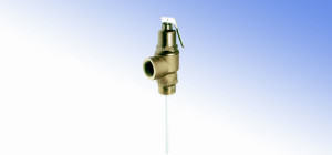 Spring-Weighted Safety Valves
