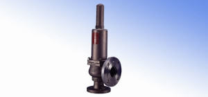 Spring-Weighted Safety Valves