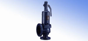 Spring-Weighted Safety Valves