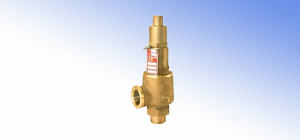Spring-Weighted Safety Valves