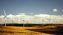 Safety plates for wind farm protection