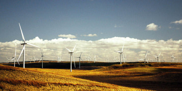 Safety plates for wind farm protection