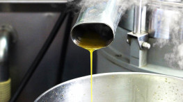 Safety plates to protect a steam extinguishing system against clogging of steam inlets with the product