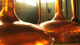 Adjustment of 3 new lines of a malt storage and transport plant to the requirements of the ATEX directive for one of the largest breweries