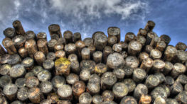 Evaluation of the hazards in the wood fibre drying system area