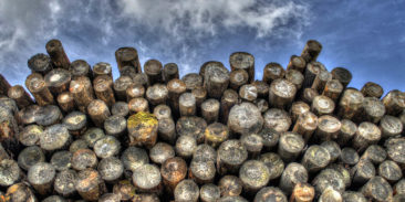 Evaluation of the hazards in the wood fibre drying system area