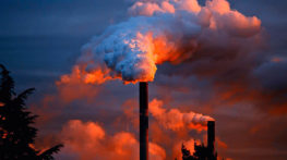 Preparation of the operation hazards analysis according to the HAZOP methodology for the flue gas denitrification system in a combined heat and power plant