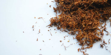 Explosion Risk Assessment for Tobacco Pouches Production Line