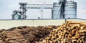 extinguishing sparks wood dust