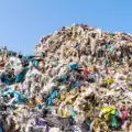 pile of garbage in the sorting plant