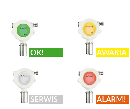 SmArtGas-4 detector